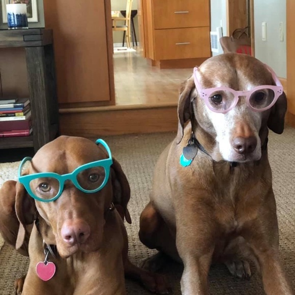 Meet your Posher, Carol - Picture 1 of 1